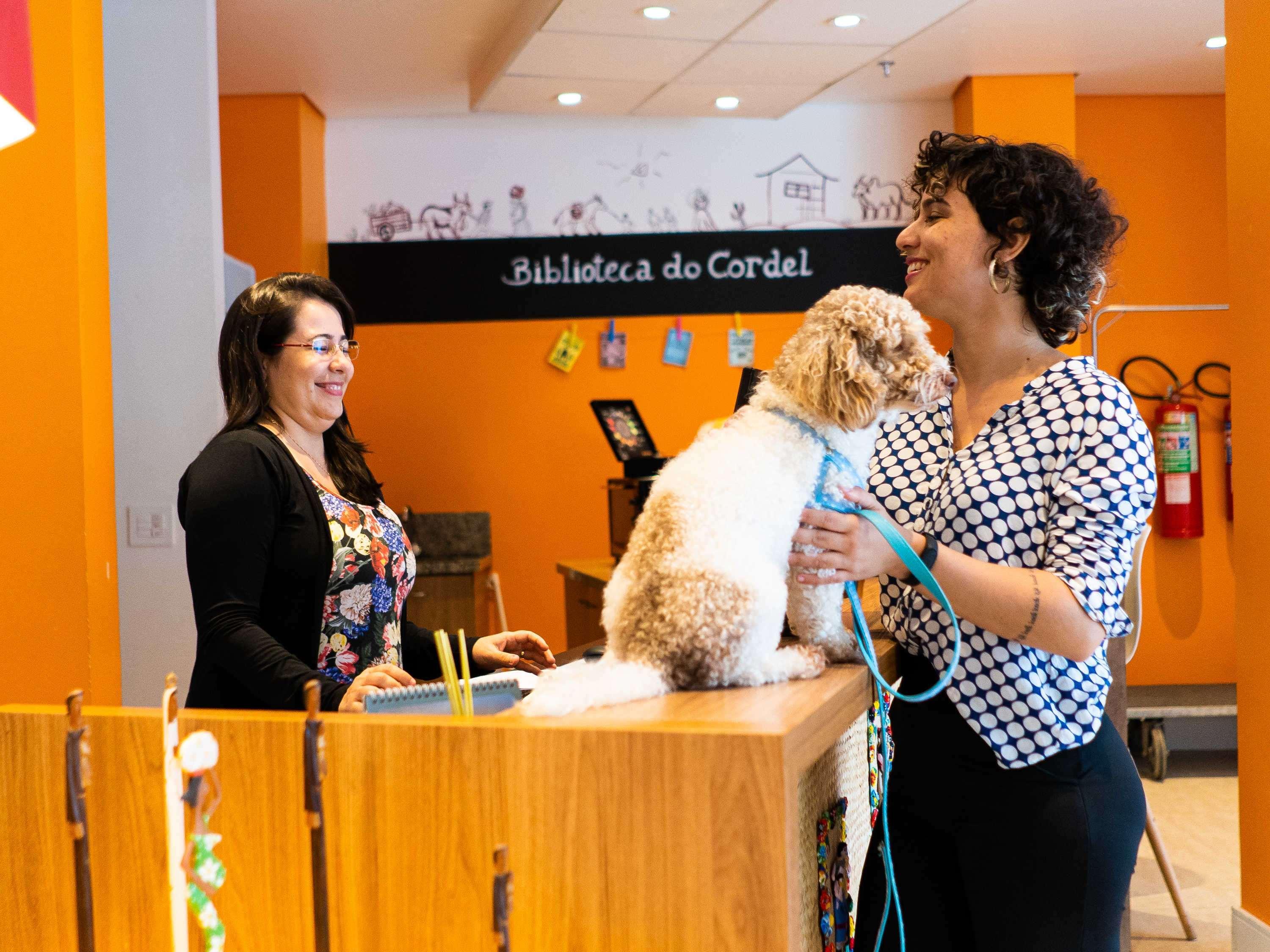 Hotel ibis Styles Campina Grande Extérieur photo